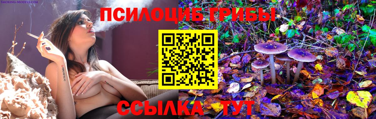 Галлюциногенные грибы Cubensis Старый Оскол